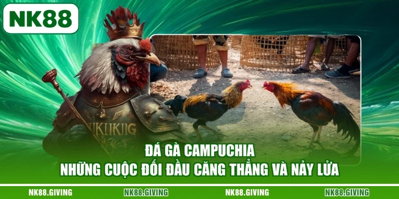 Đá Gà Campuchia - Những Cuộc Đối Đầu Căng Thẳng Và Nảy Lửa