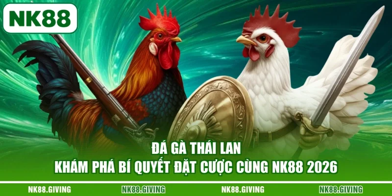 Đá Gà Thái Lan - Khám Phá Bí Quyết Đặt Cược Cùng NK88 2026