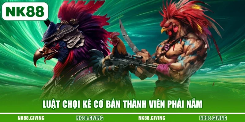 Luật chọi kê cơ bản thành viên phải nắm