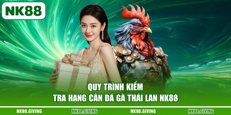 Quy trình kiểm tra hạng cân đá gà Thái Lan NK88