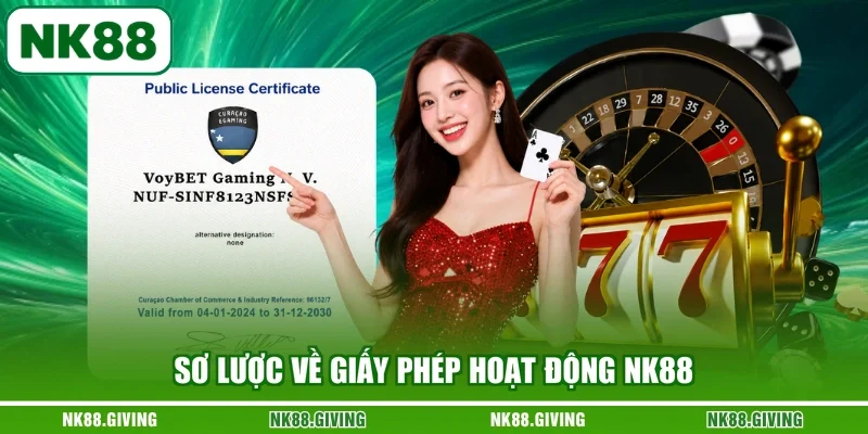 Sơ lược về giấy phép hoạt động NK88